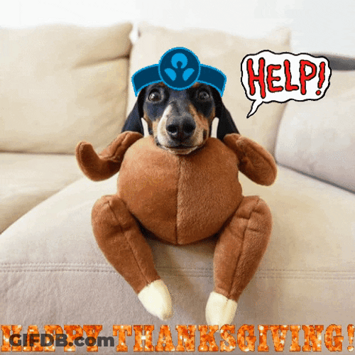 Happy Thanksgiving Dog In Turkey Costume GIF