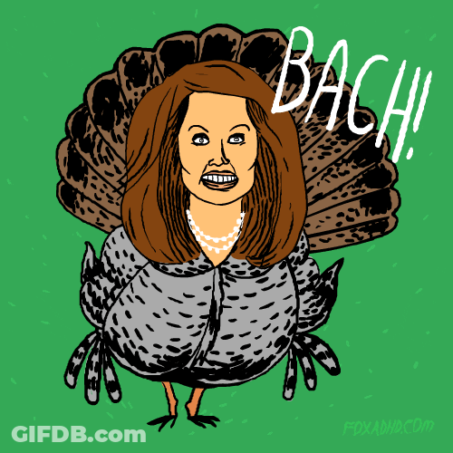 Happy Thanksgiving Funny Fox Politics GIF