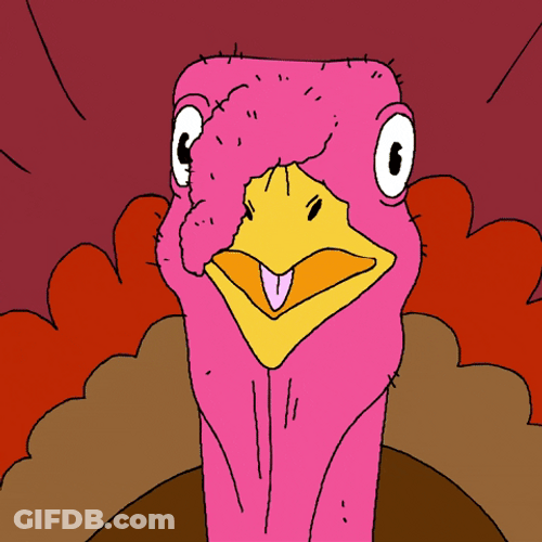 Happy Thanksgiving Funny Shock Turkey GIF