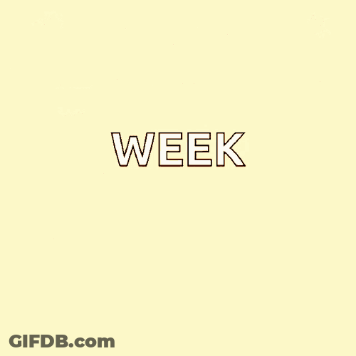 Happy Thanksgiving GIF