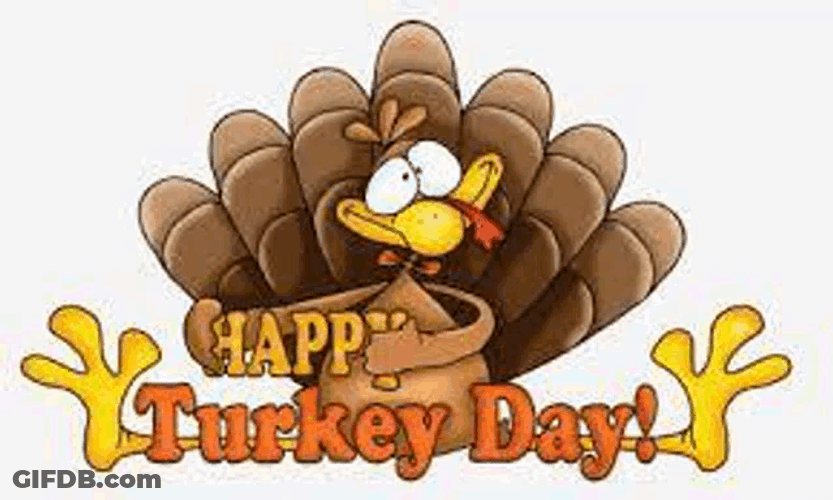 Happy Thanksgiving Meme GIF