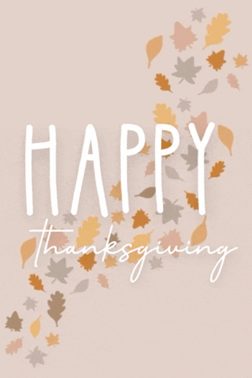 Happy Thanksgiving Meme GIF