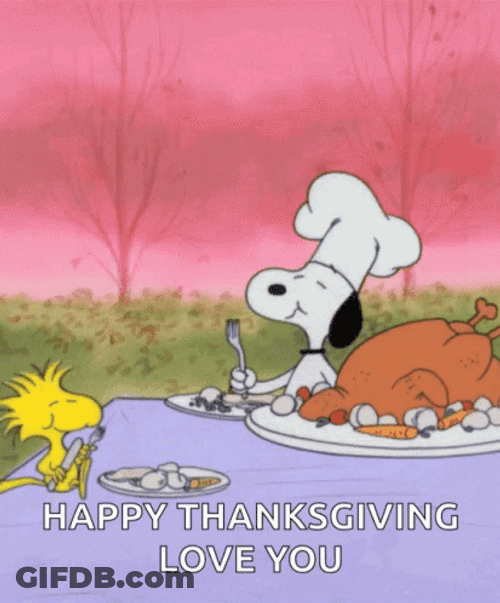 Happy Thanksgiving Snoopy And Woodstock Love You GIF