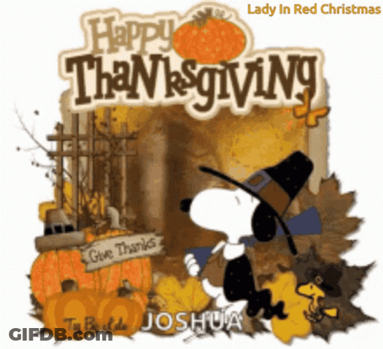Happy Thanksgiving Snoopy Joshua GIF