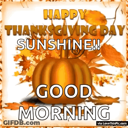 Happy Thanksgiving Sunshine Good Morning Greeting Card With Pumpkin And Leaves GIF