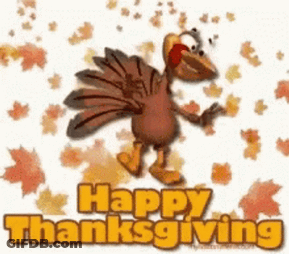 Happy Thanksgiving Turkey Day GIF