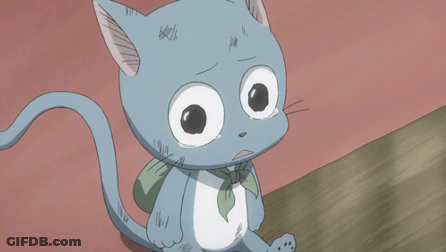 Happy The Crying Cat GIF
