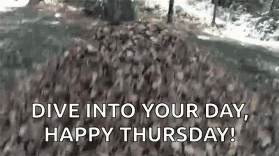 Happy Thursday Dive GIF