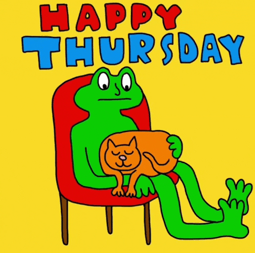 Happy Thursday Frog And Cat GIF