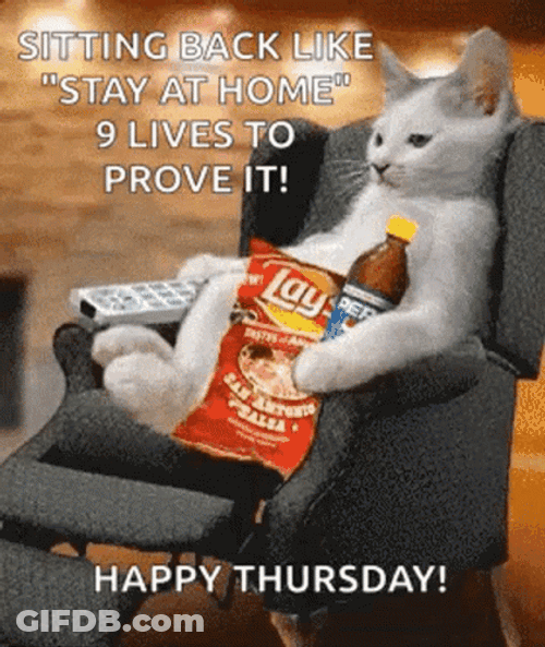 Happy Thursday Funny Cat Chilling At The Sofa GIF