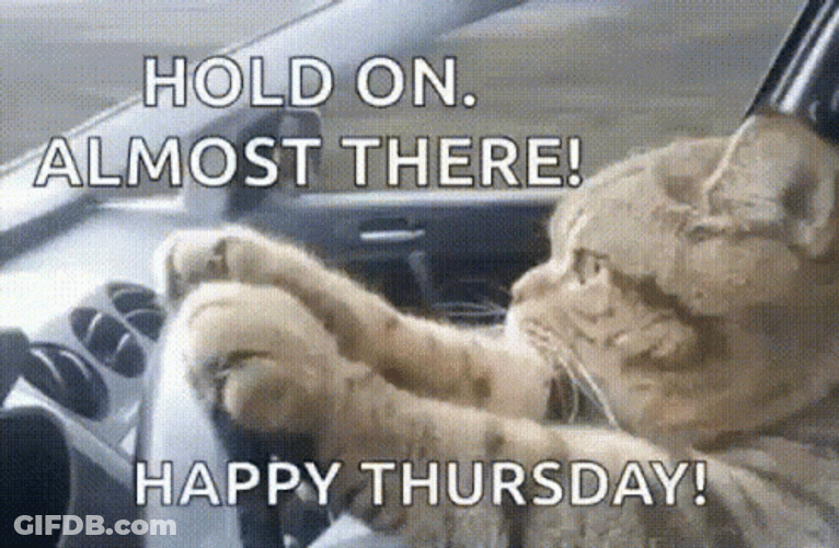 Happy Thursday Funny Cat Driving GIF