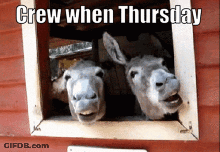 Happy Thursday Funny Excited Horses GIF