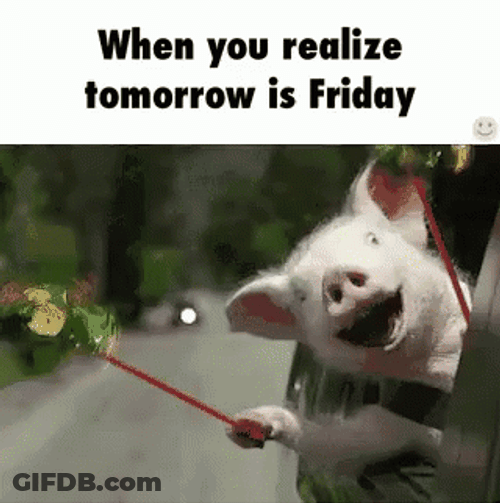 Happy Thursday Funny Piglet GIF