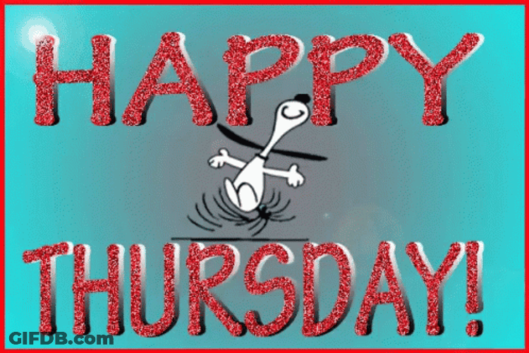 Happy Thursday Funny GIF