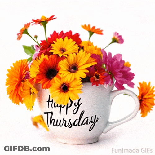 Happy Thursday GIF