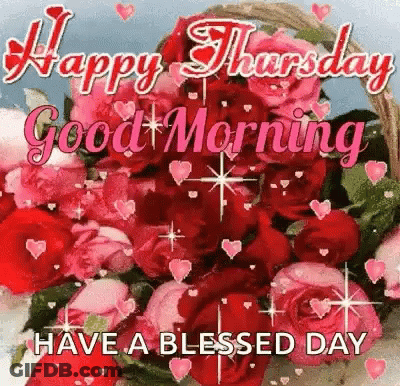 Happy Thursday Good Morning Blessed Day GIF