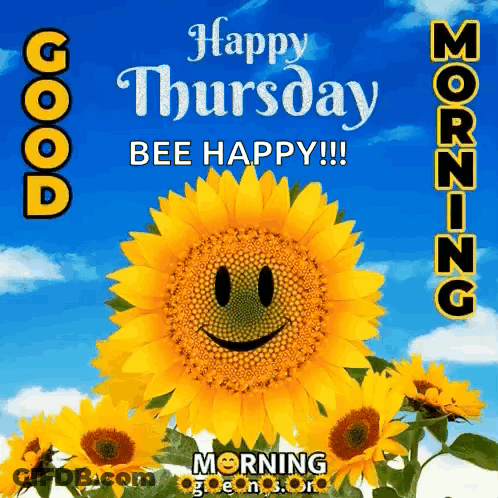 Happy Thursday Greeting Card With Flowers Oranges And Birds GIF