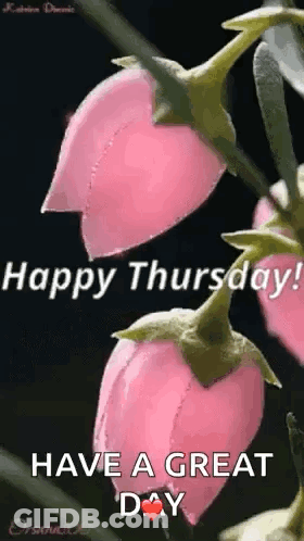 Happy Thursday ! Have A Great Day With Pink Flowers On A Black Background . GIF