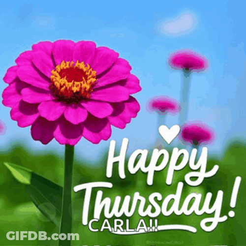 Happy Thursday Images Meme GIF