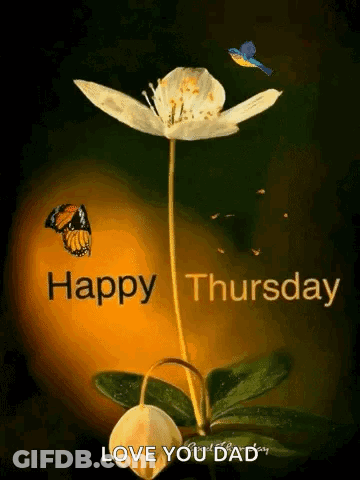Happy Thursday Message Flower And Bird GIF