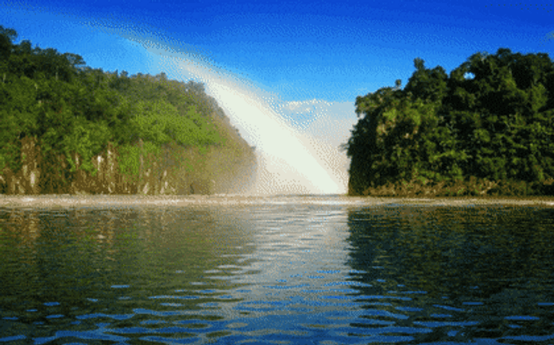 Happy Thursday Nature GIF
