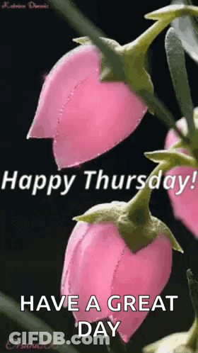 Happy Thursday Pink Flowers Have A Great Day GIF