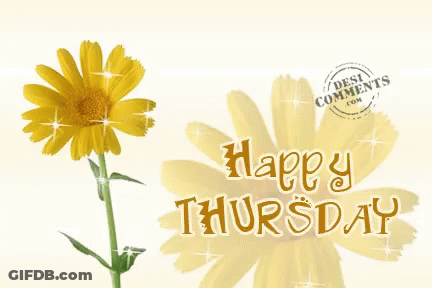 Happy Thursday Sparkle GIF