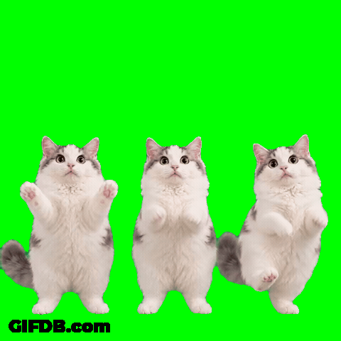 Happy Together 2.0 GIF