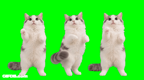 Happy Together GIF