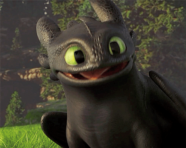 Happy Toothless How To Train Your Dragon GIF