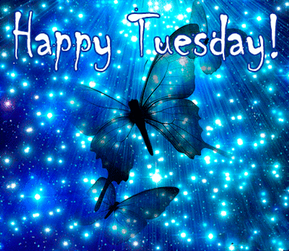 Happy Tuesday Butterflies GIF