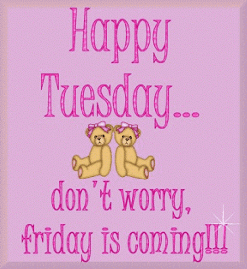 Happy Tuesday Cheer Up GIF