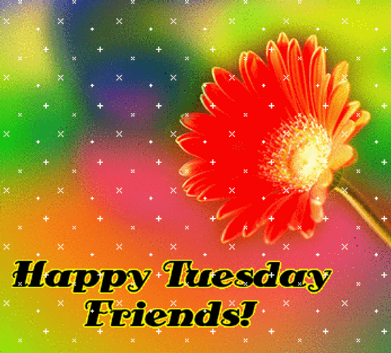 Happy Tuesday Friends GIF