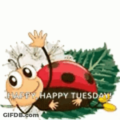 Happy Tuesday Funny Ladybug Wave GIF