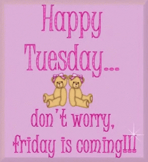 Happy Tuesday Funny Teddy GIF