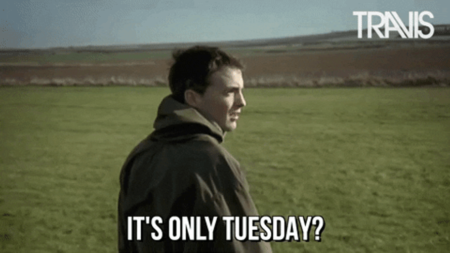 Happy Tuesday Funny What Reaction GIF