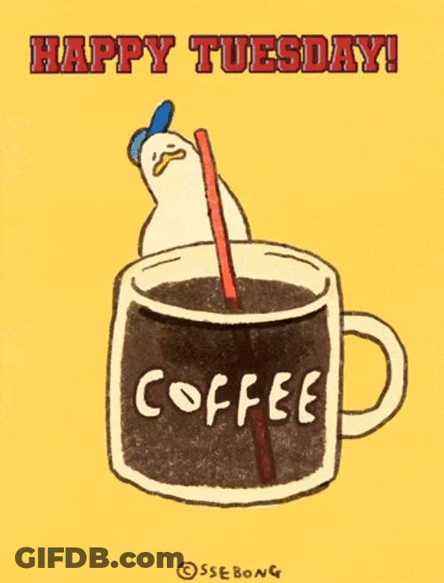 Happy Tuesday GIF