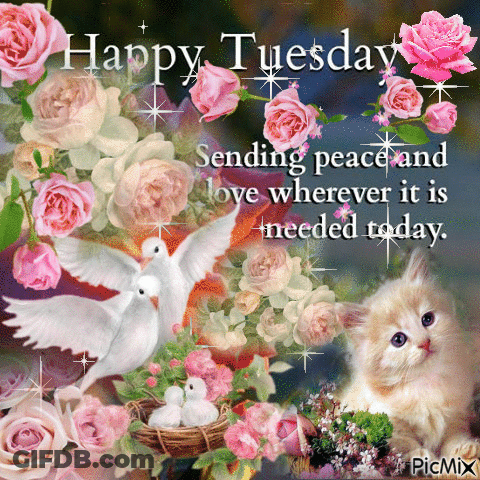 Happy Tuesday Greeting Card With Flowers And Doves GIF