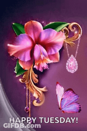 Happy Tuesday Greeting Card With Purple Flower And Butterfly GIF