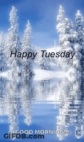 Happy Tuesday Morning Greeting Card GIF
