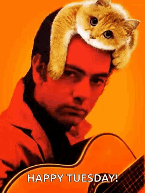Happy Tuesday Neil Diamond GIF