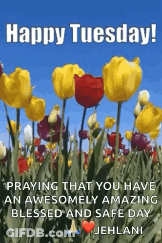 Happy Tuesday Praying For Blessed Safe Day GIF