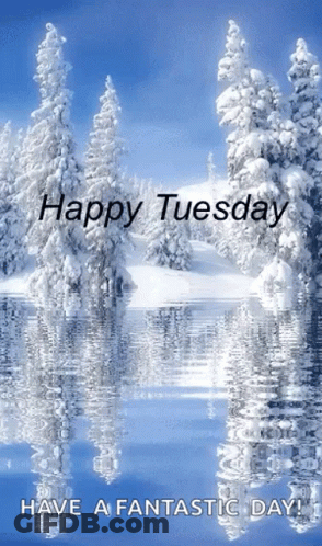 Happy Tuesday Snowy Forest Reflection GIF
