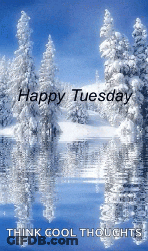 Happy Tuesday Think Cool Thoughts Snowy Trees GIF