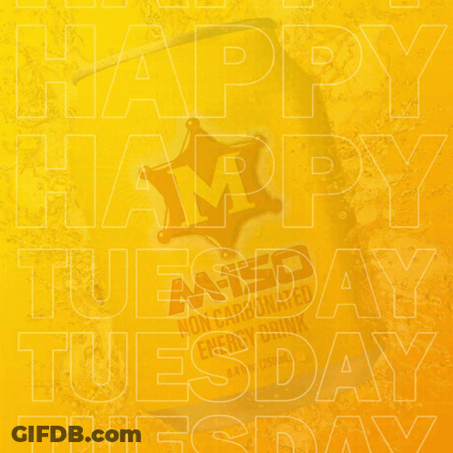 Happy Tuesday Tuesday GIF