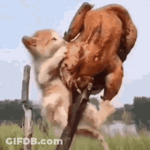 Happy Tuesday Walker And Harper With Penguin GIF