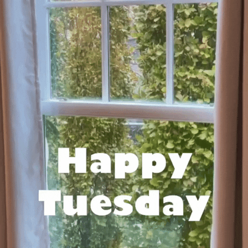 Happy Tuesday Window Rain GIF
