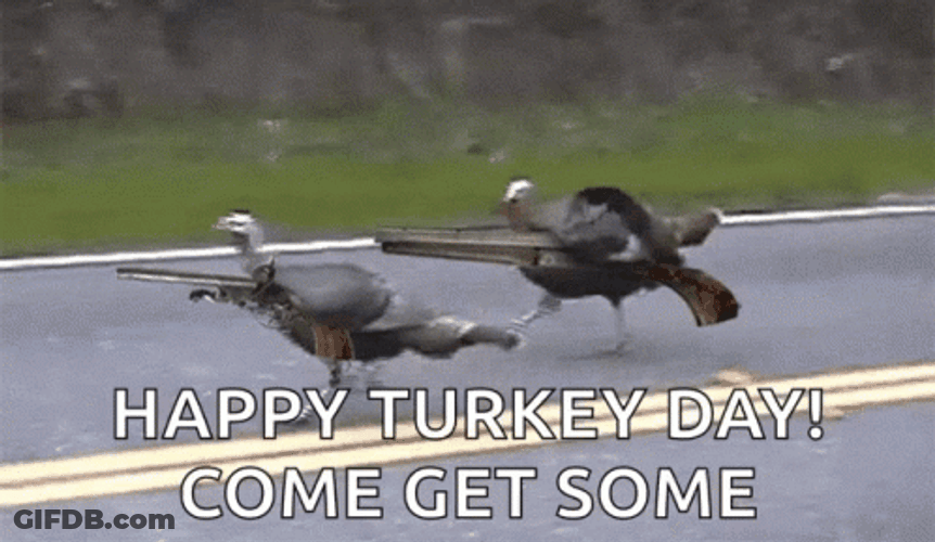 Happy Turkey Day Come Get Some GIF