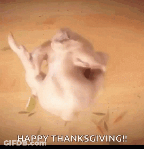 Happy Turkey Day Dancing Turkey GIF