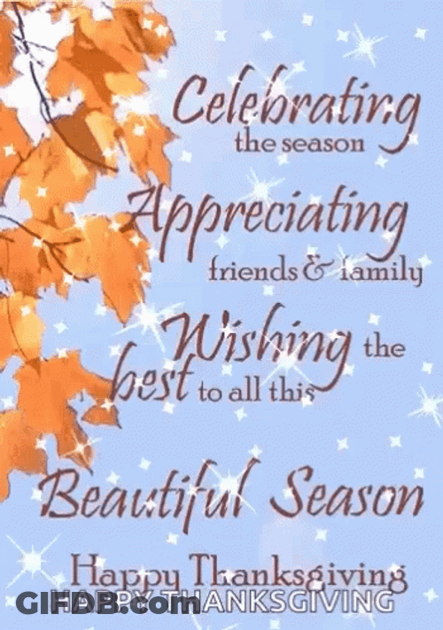 Happy Turkey Day Thanksgiving Quotes GIF